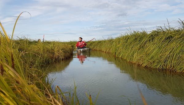 Sit on top Kayak verhuur Waterland