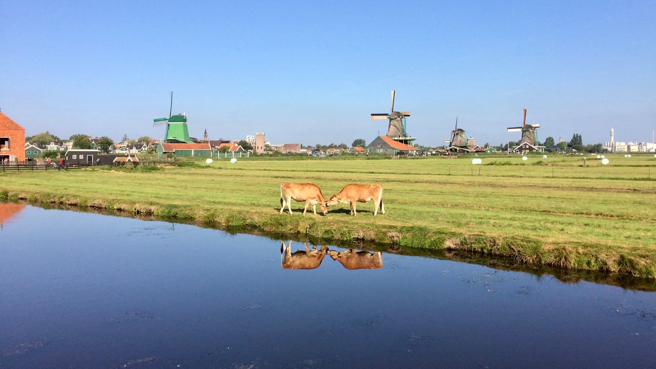 Windmills Zaanse Schans