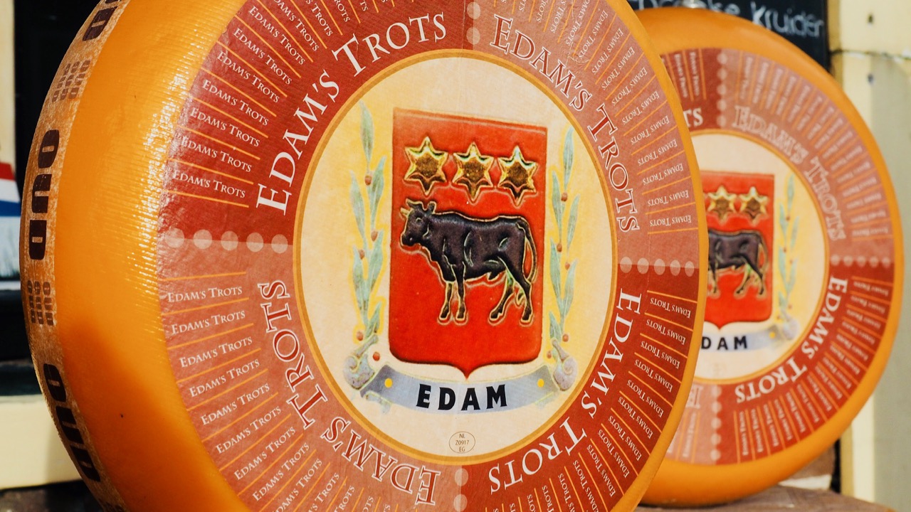 Experience Waterland Edam cheese