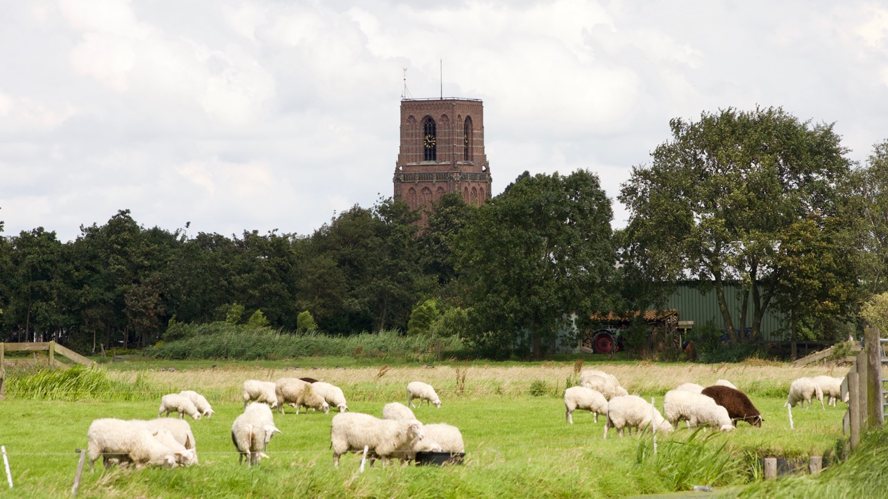 Experience Waterland Ransdorp kerk