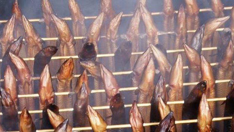 smoked-eal-experience-waterland.nl_-e1516283126264.jpg
